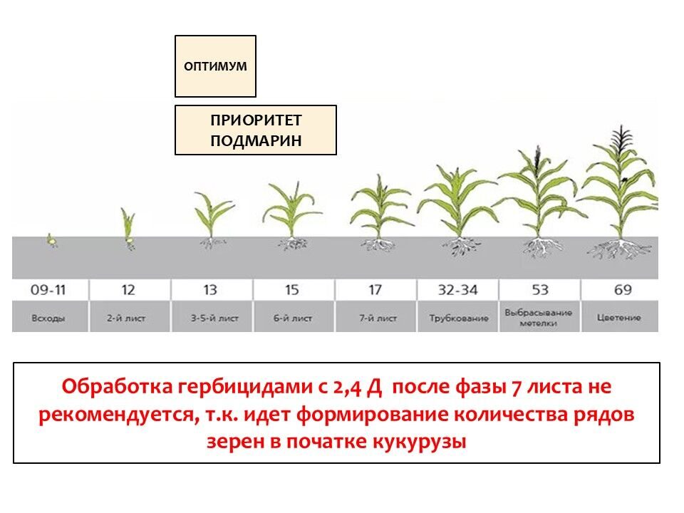 Слайд2